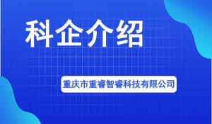 重慶市重睿智睿科技有限公司