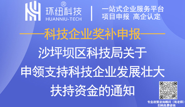 沙坪壩區(qū)科技企業(yè)扶持資金申領(lǐng)