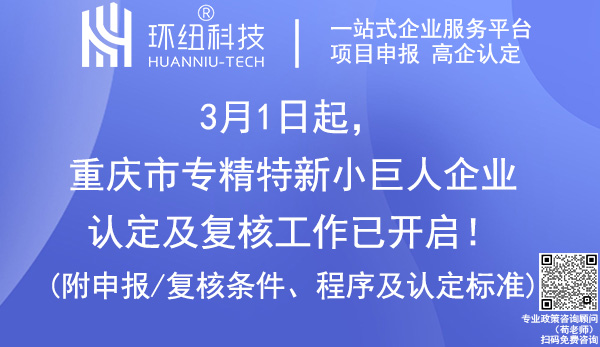 重慶專精特新小巨人認定